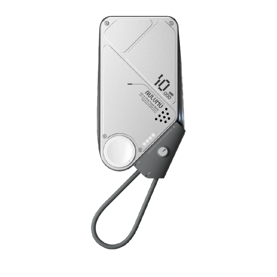 Внешний аккумулятор Aulumu M10 10000 mAh серебро